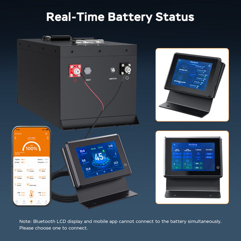 Techex 48V Lithium Battery Golf Cart, LCD Monitor/ Bluetooth App, 200A BMS with 600A Peak Current, Complete kit with 58.4V 18A charger, Metal Case