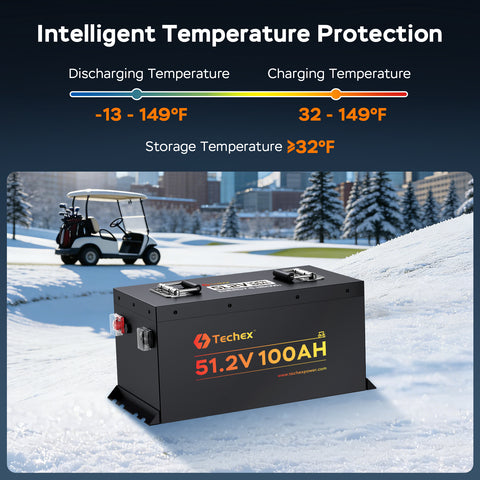 Techex 48V Lithium Battery Golf Cart, LCD Monitor/ Bluetooth App, 200A BMS with 600A Peak Current, Complete kit with 58.4V 18A charger, Metal Case