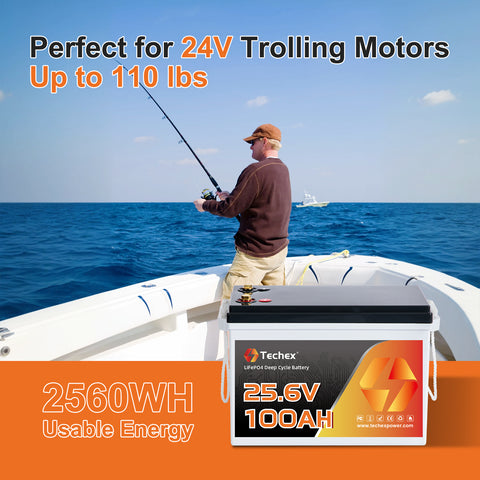 Techex 24V 100Ah LiFePO4 Battery, 100A BMS, Low Temp Cut Off, Deep Cycle for Trolling Motor, Boat, RV, Solar, Camping, Off Grid (No Bluetooth)