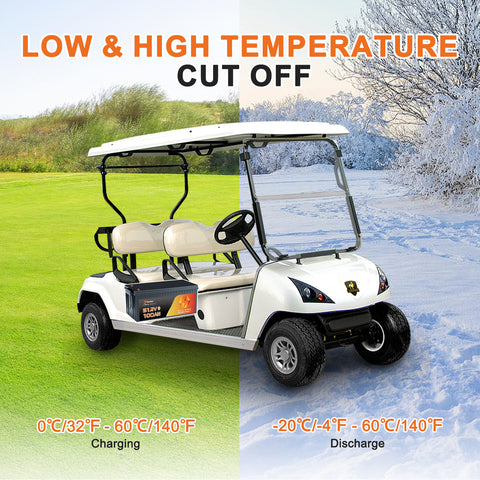 Techex 48V Lithium Battery 100Ah for Golf Cart, 200A BMS, Touch Screen & Mobile APP, with 58.4V 18A Charger, Low Temp Cut Off, Max 10.24kW Power Output for EZ GO, Club Car, Yamaha Golf Cart